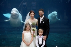 Wedding party at Mystic Aquarium in Connecticut.